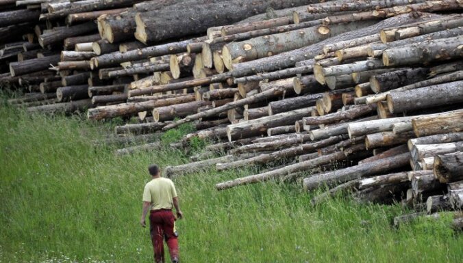 Латвия заработала миллиард евро на лесах и древесине