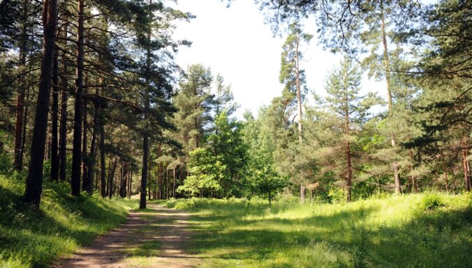 'Delna' vāc parakstus, lai atceltu 'negodprātīgi izraudzīto' 'Latvijas valsts mežu' vadību