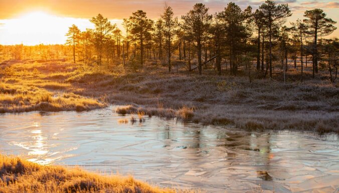 ФОТО. Покрыто льдом и инеем – прохладное ноябрьское утро в Кемерском болоте