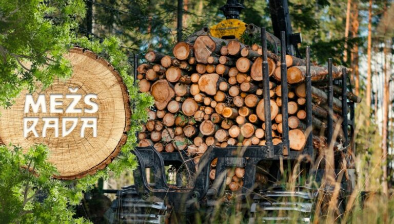 Jauni rekordi un attīstība: kas notiek meža nozarē Latvijā