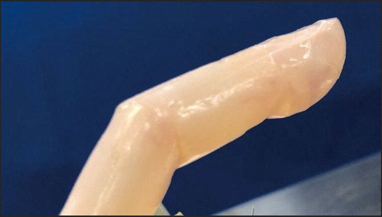 Zinātnieki robota pirkstu apaudzē ar gandrīz dzīvu ādu, kas spēj arī sadzīt