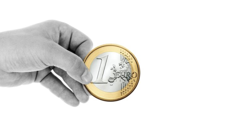 Год с евро: без катастроф и потрясающих достижений