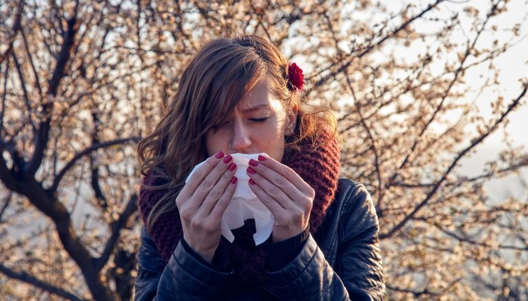 Насморк, зуд в горле, кашель: cнова простуда или все же аллергия?