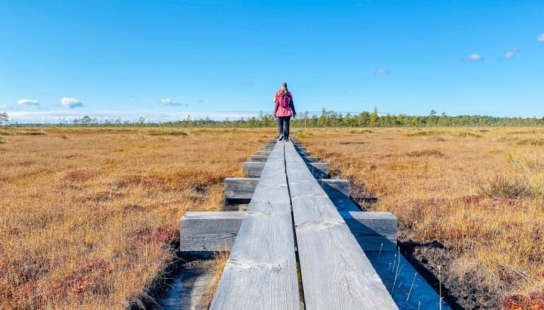 ФОТО. Всего в 10 километрах от границы с Латвией: уникальная болотная тропа Нигула на юге Эстонии