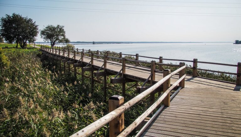 ФОТО: Место для неспешной прогулки – тропа на острове Зиргу на Лиепайском озере