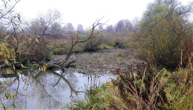 Jelgavā ar nopļautiem augiem piesārņo Platones upi; vainīgais pārkāpumu novērš