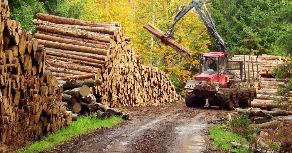 Manufacturers are unable to meet the high demand in the forestry equipment market