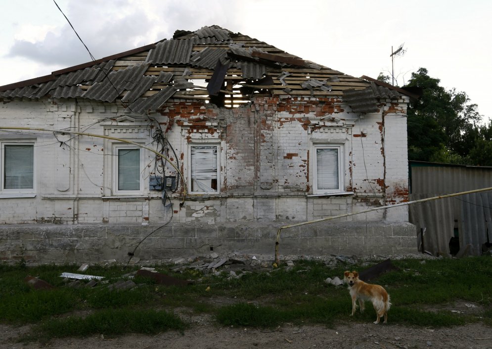 Uzticami suņi Ukrainā paliek bez mājām