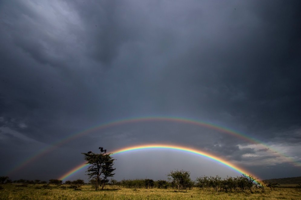 Пол радуги. Радуга на полу. Радуга Африканская. Rainbow Sky. Радуга за поворотом СИД.