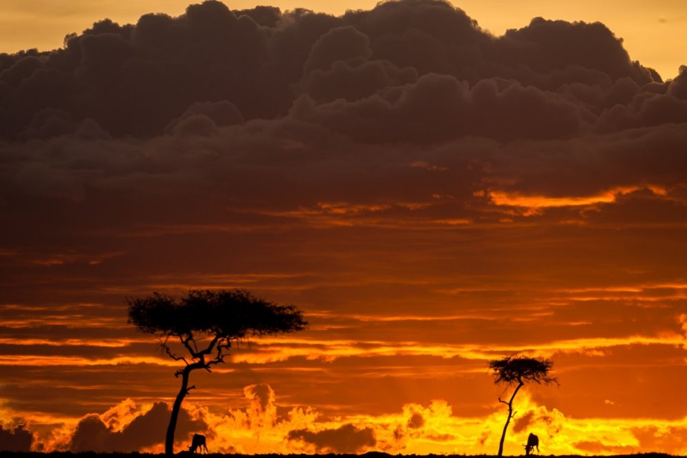 Neticami skaisti saullēkti un saulrieti, kas vērojami tikai Āfrikā