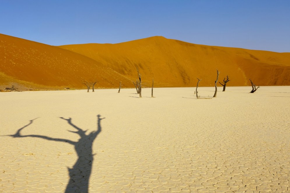 Sirreālisms dabā: tuksnesis, kas izskatās pēc Dalī gleznām