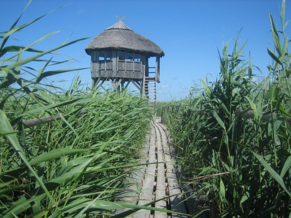 Populārākās putnu vērošanas vietas Latvijā